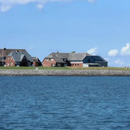 Haus Halligblick, Ferienwohnungen Am Wattenmeer, Whg Hamburger Hallig Dagebuell Exterior photo